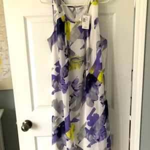 Ladies Sleeveless dress